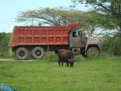 Mack R Model 6x4