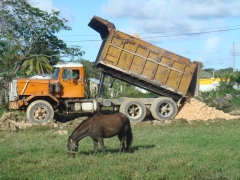 Autocar DC 6x4