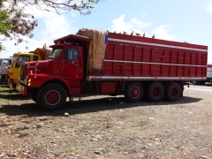 Volvo N1033 8x4