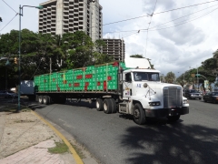 Freightliner FLD120