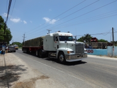 Freightliner FLD120