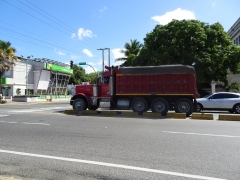 Peterbilt 379 8x4 