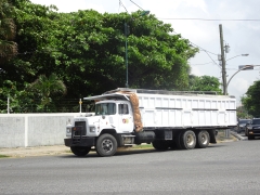 Mack DM600 6x4