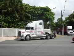 Freightliner FLD120