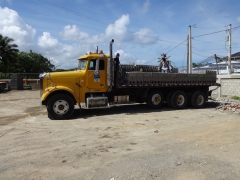 Freightliner Classic 8x4 