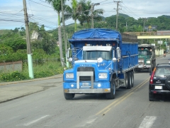 Mack DM600 8x4 