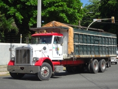 Peterbilt 378 6x4