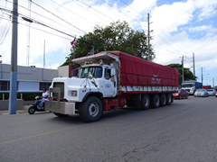 Mack DM600 10x4