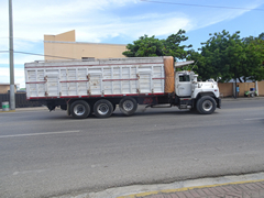 Mack DM600 8x4