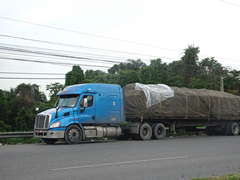 Freightliner Cascadia