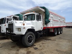 Mack DM600 8x4