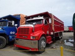 International 8100 6x4