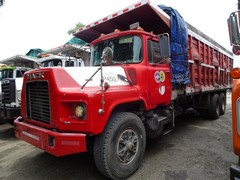 Mack DM600 6x4