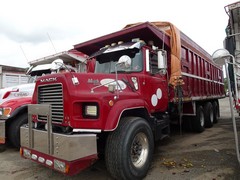 Mack DM600 8x4