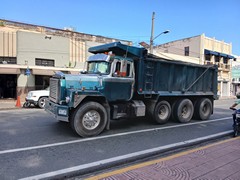 Mack DM600 8x4 Iron hood