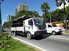 Hyundai Pavise QV255 4x2