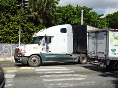 Freightliner Century